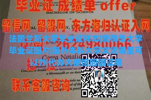 法国兰斯大学毕业证样本