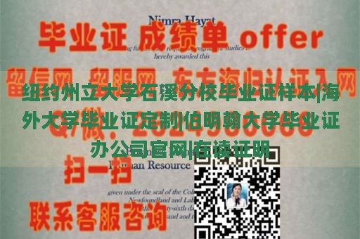 纽约州立大学石溪分校毕业证样本|海外大学毕业证定制|伯明翰大学毕业证办公司官网|在读证明